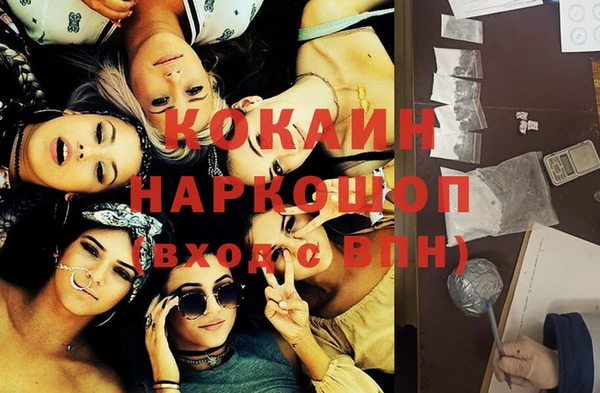 стаф Тында