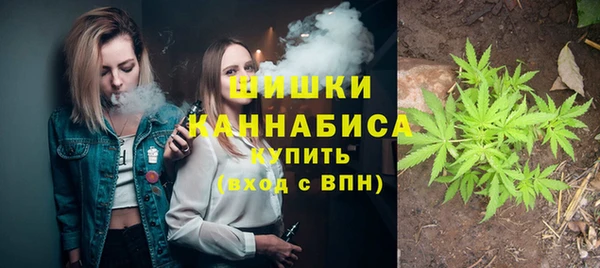 Альфа ПВП Гусь-Хрустальный