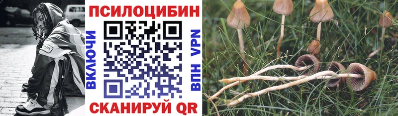 Псилоцибиновые грибы Psilocybine cubensis  Мценск 